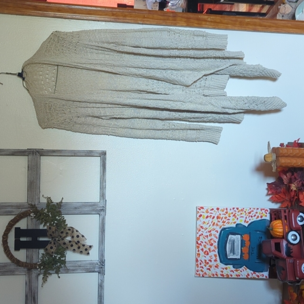 Pretty American eagle cardigan